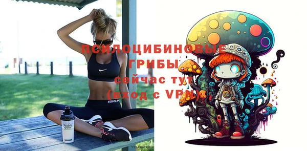 сатива Арсеньев