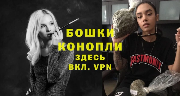 сатива Арсеньев