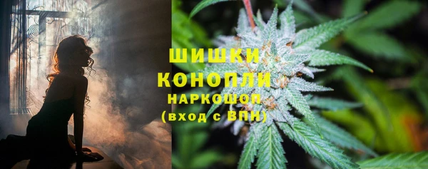 сатива Арсеньев