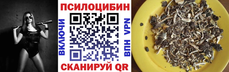Галлюциногенные грибы Psilocybe  наркотики  Болотное 